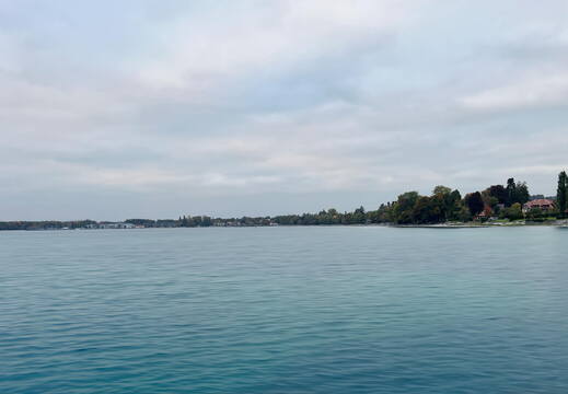 IMG 4645